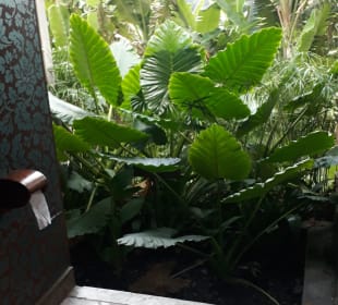 Ausblick vom "Örtchen"