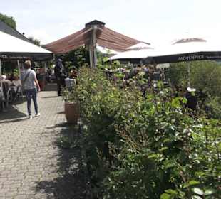Schlosscafé im Rosengarten