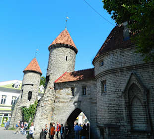 Stare Miasto Tallinn