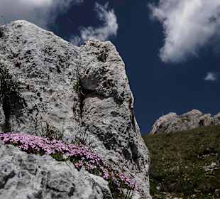 Wandern Nova Levante / Welschnofen