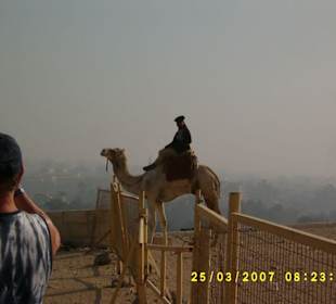 Ein Pyramidenwächter