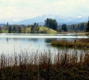 Blick über den See auf das Wetterstein-Gebirge