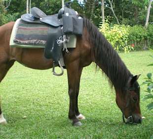 Verdiente Pause an Gabi`s Ranch