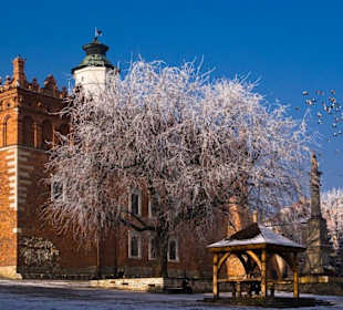 Sandomierz