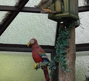 Erlebnispark Tripsdrill