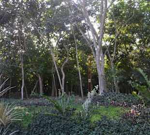 Zugang Mayatempel Ek Balam