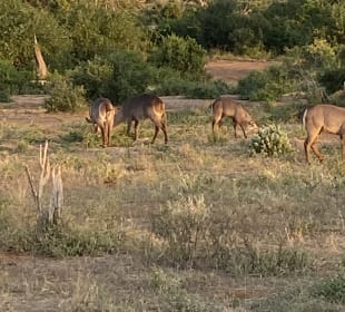 Was für ein Erlebnis 
