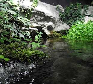 Naturecht nachgebaut