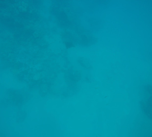 Adlerrochen. Leider etwas schwer zu sehen.