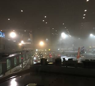 Flughafen Düsseldorf (DUS)