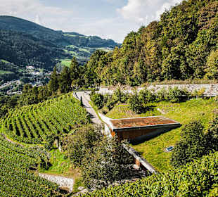 Weingut Garlider
