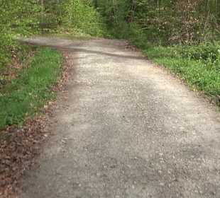 Walderlebnisweg Rottenburg