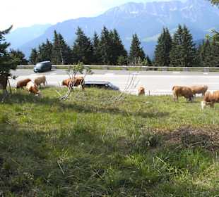 Rossfeld Panorama Straße