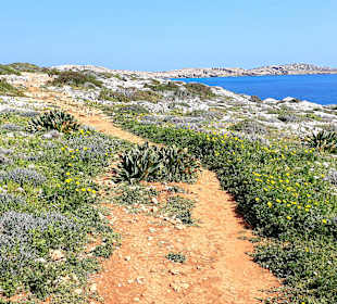 Nationalpark Kap Greco