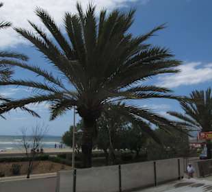 Blick von der Terrasse des "Trocadero"