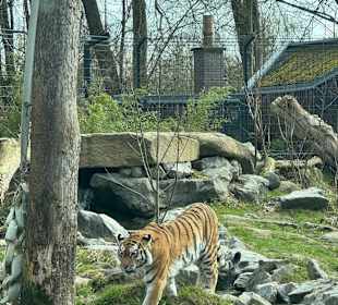 Tiergarten Straubing