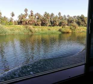 Blick aus dem Fenster