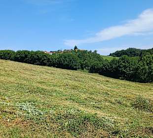 Wanderweg am Sommerberg