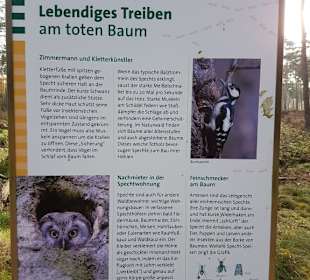 Ameisen Barfußpfad Hinweistafel