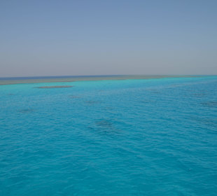 Lagune