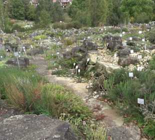 Alpinum