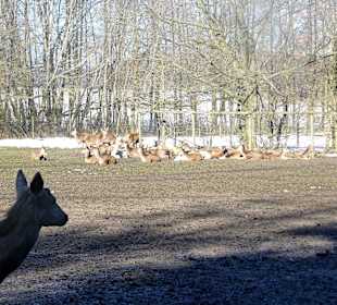 ImpressionOstern2013