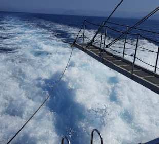 Das Boot macht ordentlich Tempo