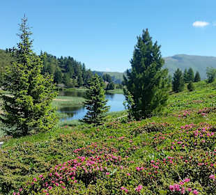 Wandern Bad Kleinkirchheim