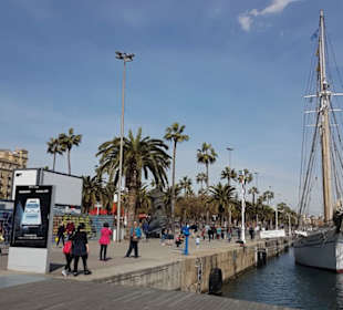 Santa Eulalia in Barcelona