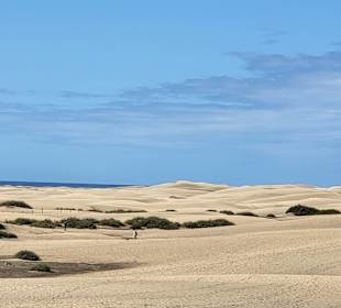 Dünen von Maspalomas