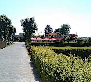 Complexul De Agrement Şi Sport Mureşul 