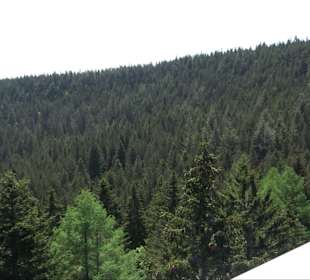 Naturparkzentrum Ruhestein