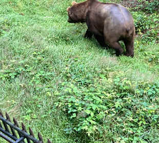 Tierfreigehege im Nationalpark