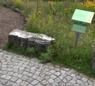 ALB-GOLD Naturgarten