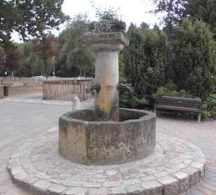 Wildpark Lüneburger Heide