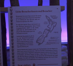 Museum für Völkerkunde