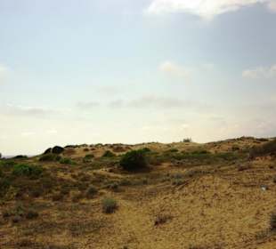 Gündogdu auf den Dünen oben