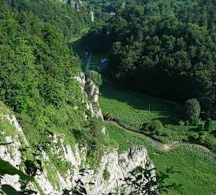 Dolina