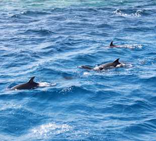 Vom Schiff aus fotografiert