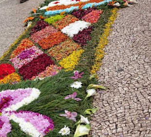Blütentapeten auf den Straßen