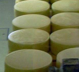 Schaukäserei Stein in Ostschweiz