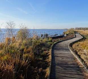 Der Bohlenweg am Ewigen Meer