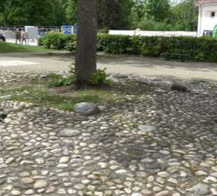 Ehemalige Zollernschule