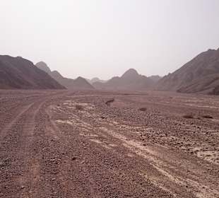 Rennstrecke in der Wüste mit Quad