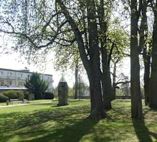 Im Alten Friedhof in Schweinfurt