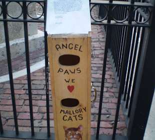 Katzenspende am Mallory Square