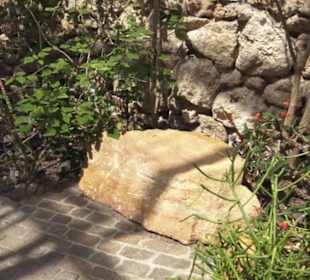 Botanischer Garten der Universität Zürich