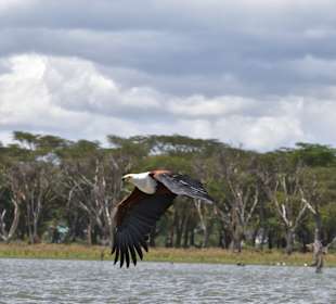 Geführte Touren Marco Polo Tours & Safaris Diani Beach