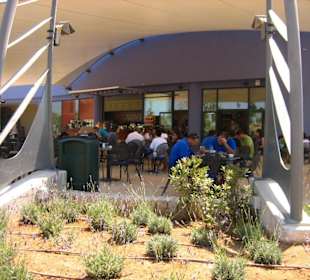 Restaurant Palma Aquarium