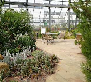 Eindrücke aus dem Botanischen Garten Düsseldorf